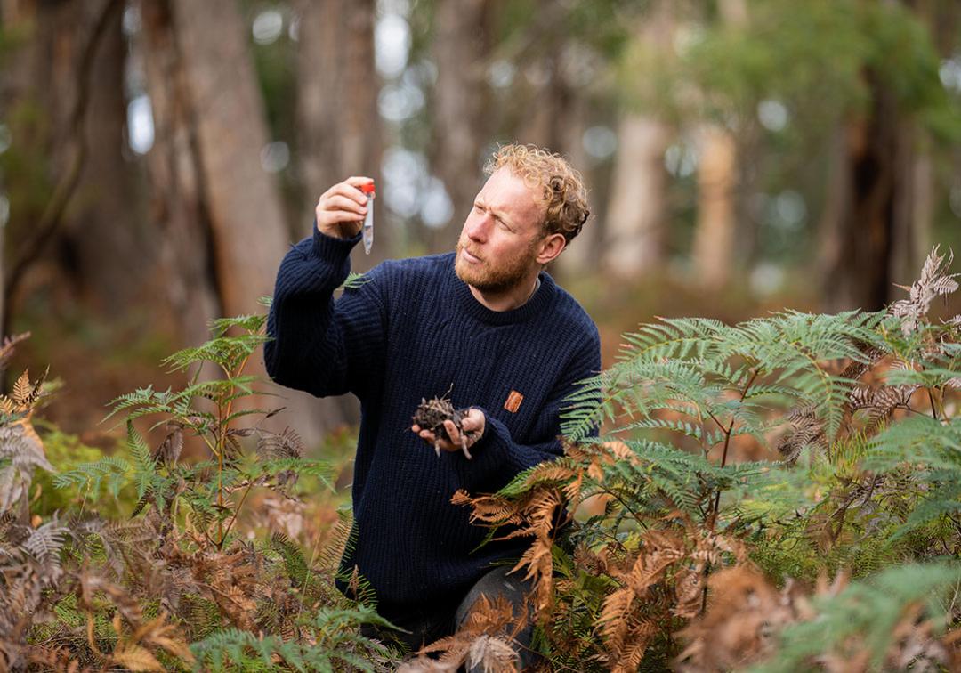 Man surrounded by ferns inspects a test tube.
