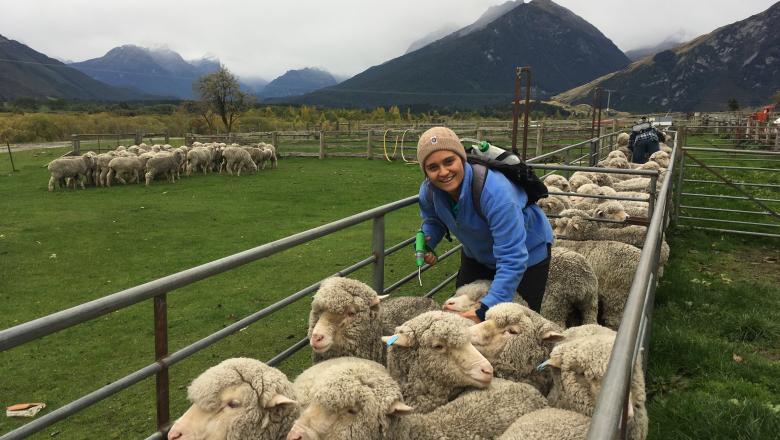 Lianne with Sheep in NZ