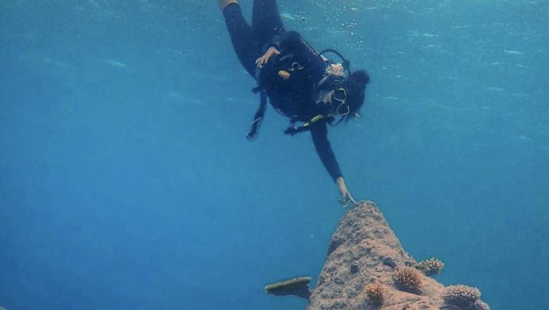 Woman diving in scuba gear