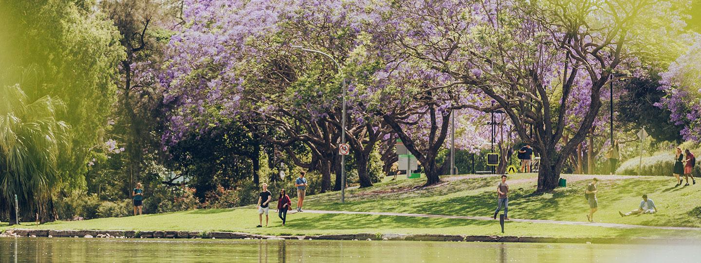 Students sitting by UQ lakes on a sunny day.