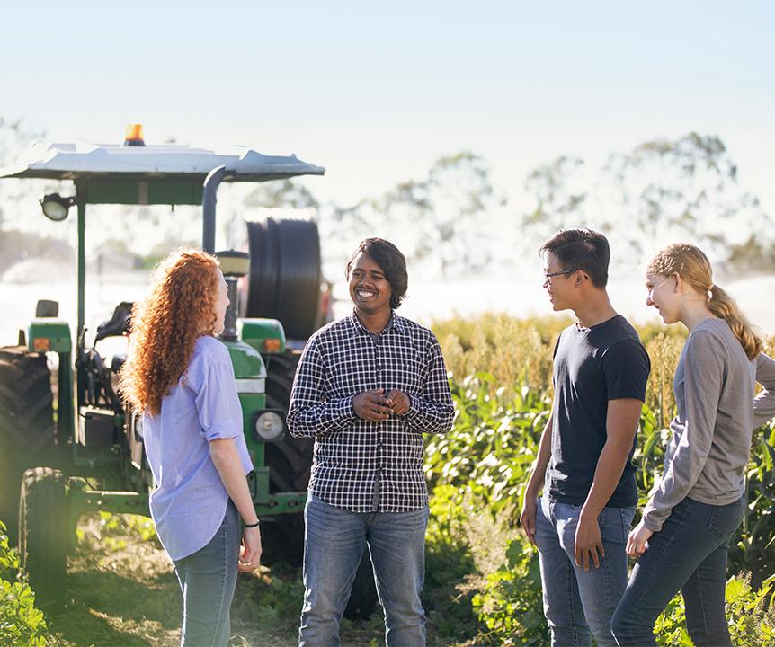 Students talking by the crops at UQ Gatton campus. 